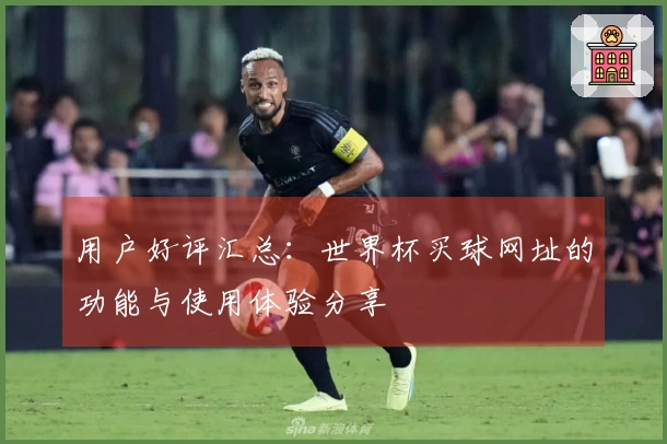 用户好评汇总：世界杯买球网址的功能与使用体验分享