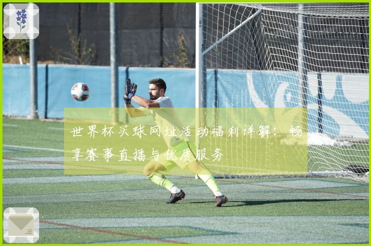 世界杯买球网址活动福利详解：畅享赛事直播与优质服务