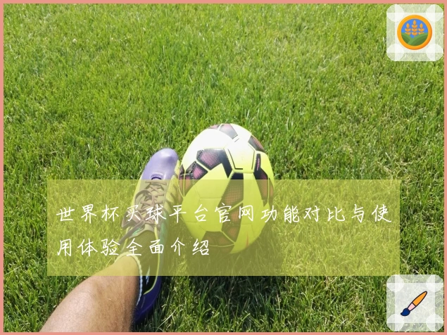 世界杯买球平台官网功能对比与使用体验全面介绍