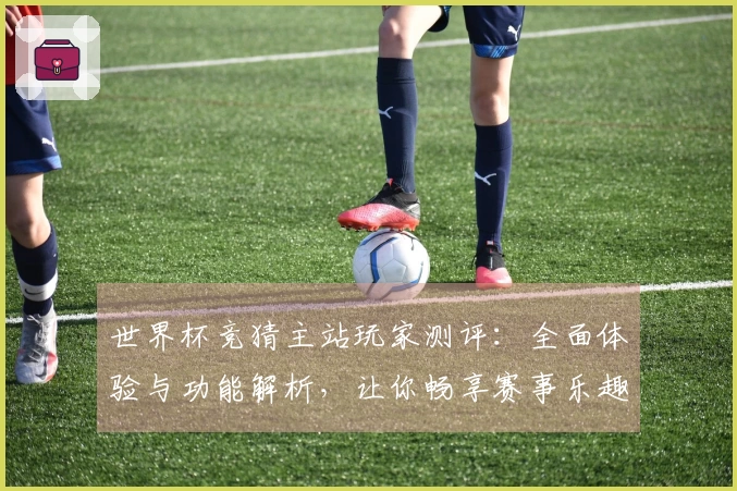 世界杯竞猜主站玩家测评：全面体验与功能解析，让你畅享赛事乐趣