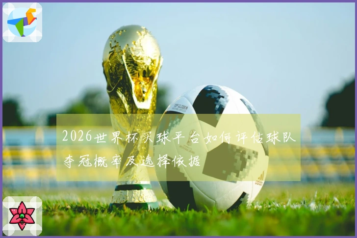 2026世界杯买球平台如何评估球队夺冠概率及选择依据