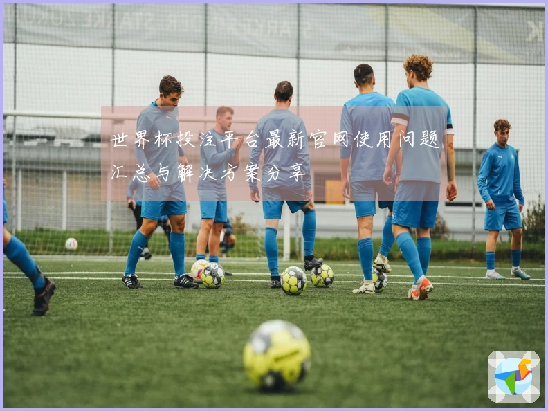 世界杯投注平台最新官网使用问题汇总与解决方案分享