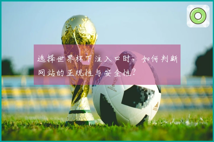 选择世界杯下注入口时，如何判断网站的正规性与安全性？