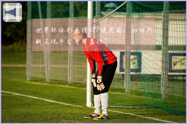 世界杯体彩竞猜APP使用前，如何判断正规平台与可靠性？