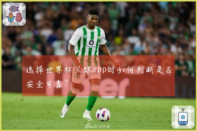 选择世界杯买球app时如何判断是否安全可靠？