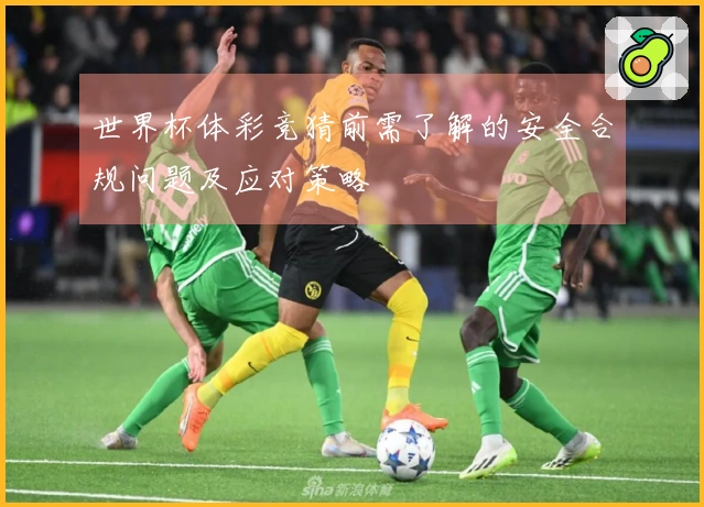 世界杯体彩竞猜前需了解的安全合规问题及应对策略