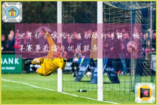 世界杯买球网址活动福利详解：畅享赛事直播与优质服务