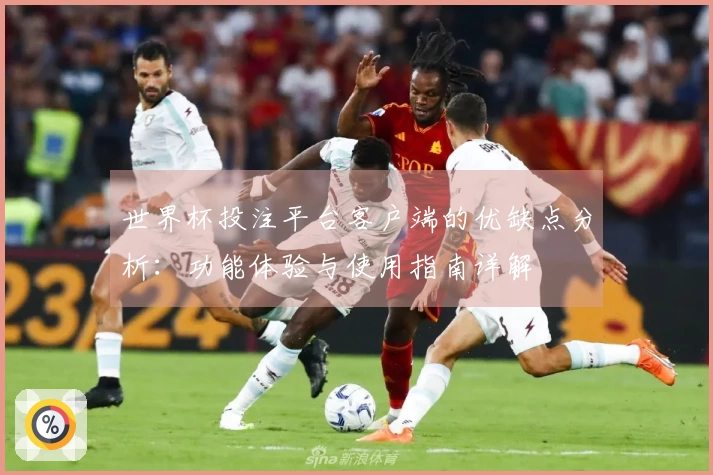 世界杯投注平台客户端的优缺点分析：功能体验与使用指南详解