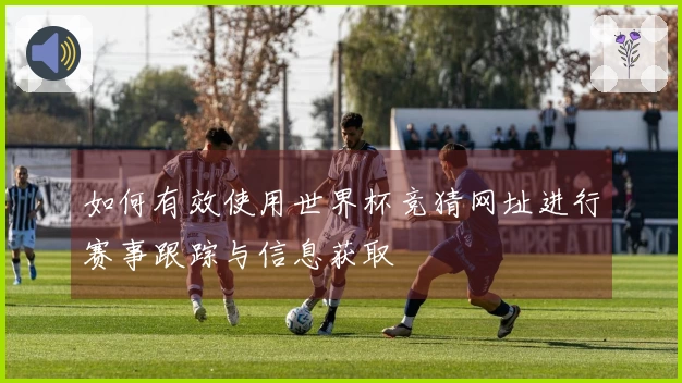如何有效使用世界杯竞猜网址进行赛事跟踪与信息获取