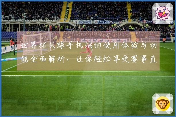 世界杯买球手机端的使用体验与功能全面解析，让你轻松享受赛事直播