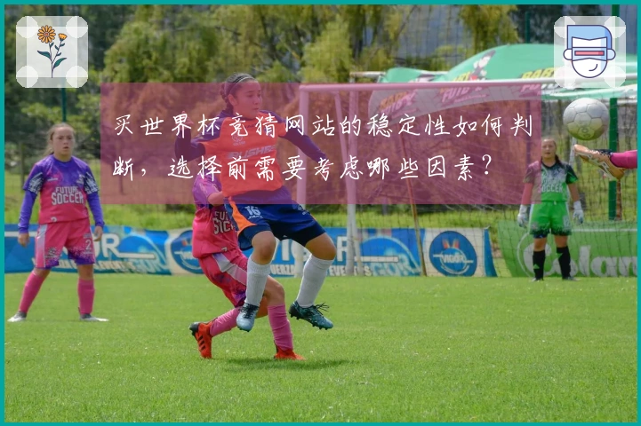 买世界杯竞猜网站的稳定性如何判断，选择前需要考虑哪些因素？