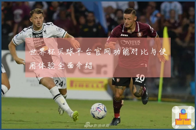 世界杯买球平台官网功能对比与使用体验全面介绍